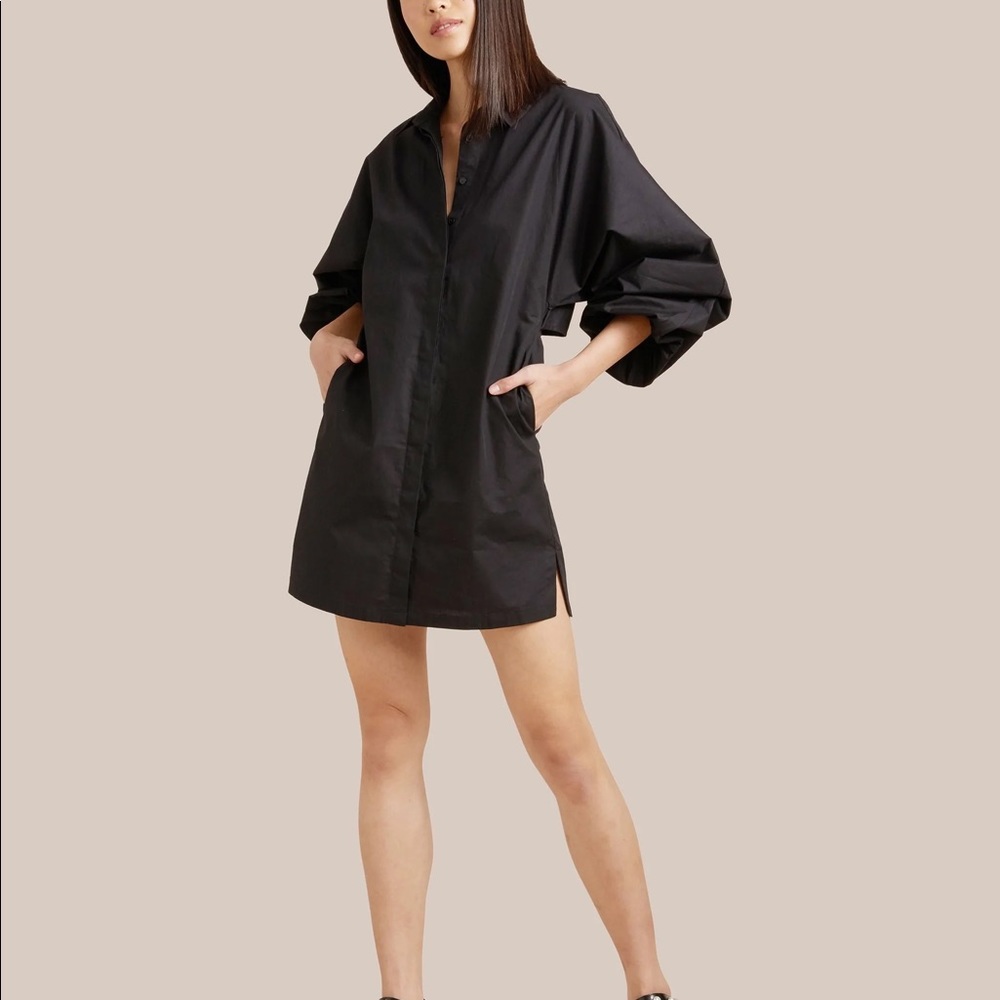 Modern Citizen Clara Open-Back Button Down Dress